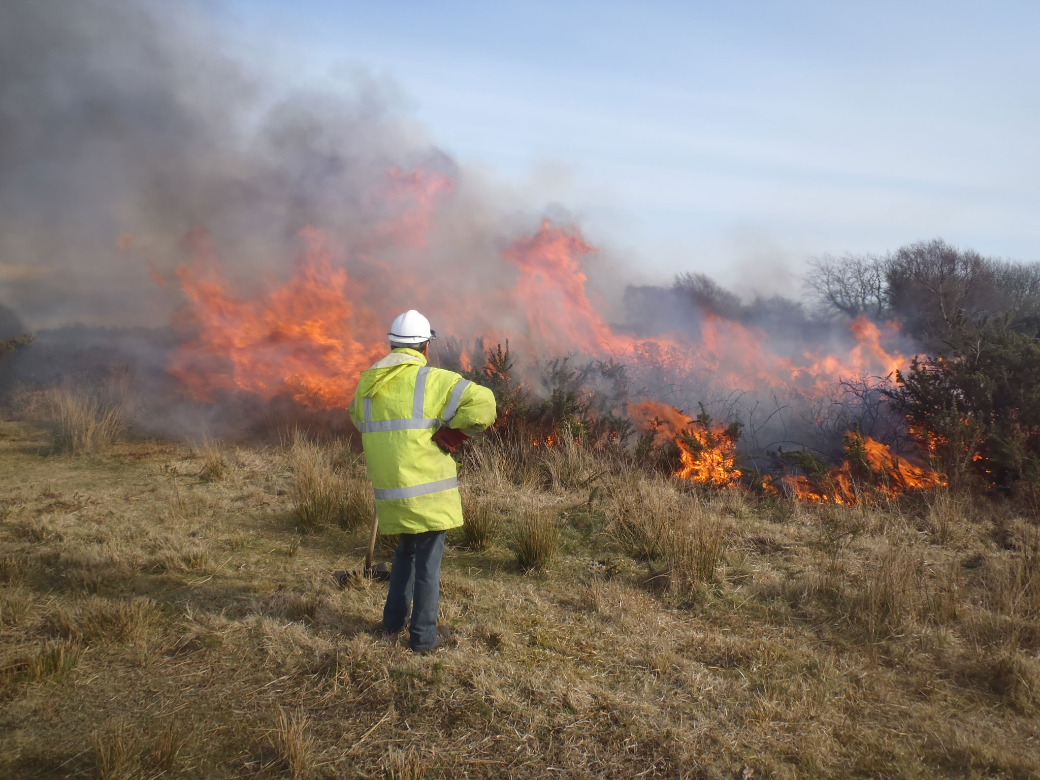 gower-controlled-gorse-burn